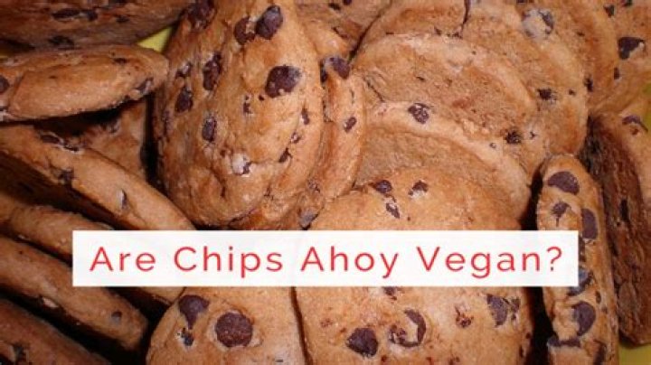 Are chips ahoy vegan?