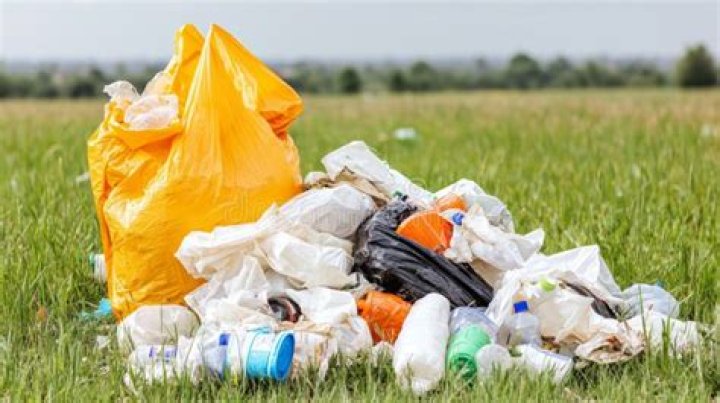 Are littered with plastic bags?