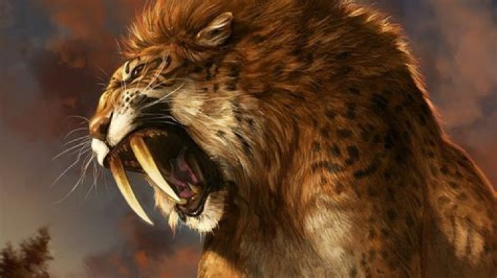 Are saber tooth tigers still alive?