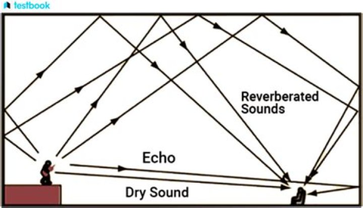 Can you use reverberation in a sentence?