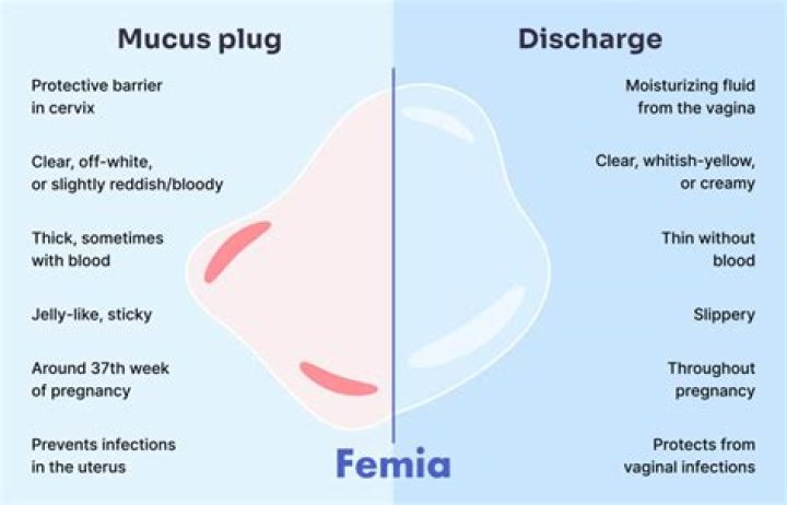 Did i just lost my mucus plug?