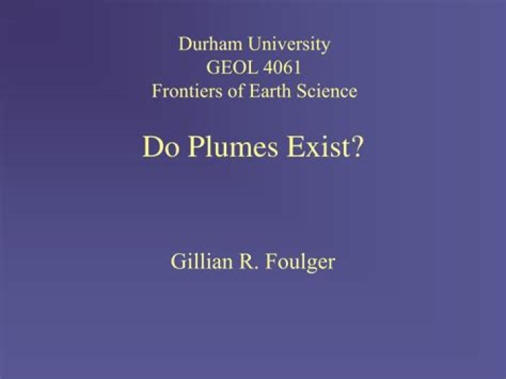Do mantle plumes exist?