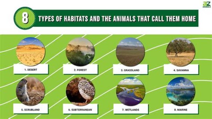 Do plants have habitats?
