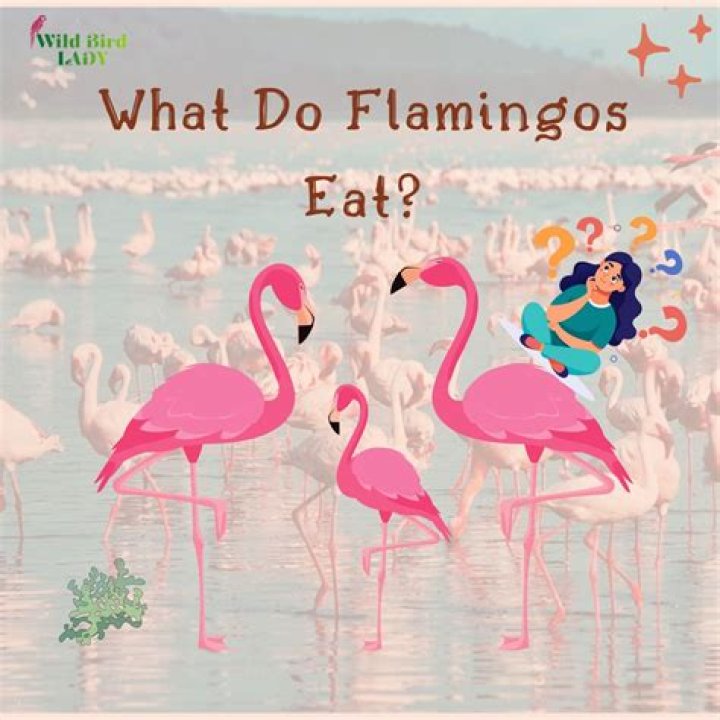 Does anything eat ostriches?