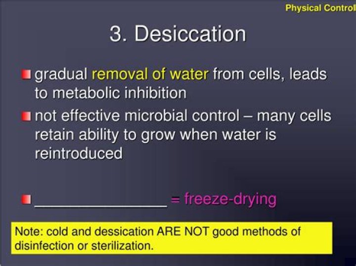Does desiccation kill bacteria?