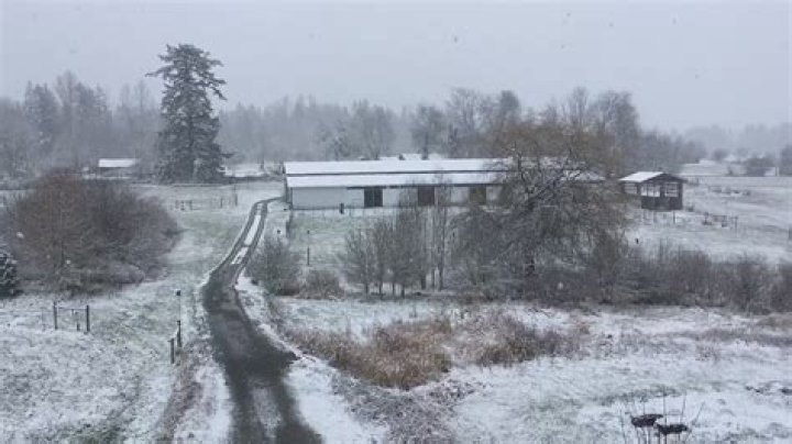 Does it snow in yelm wa?