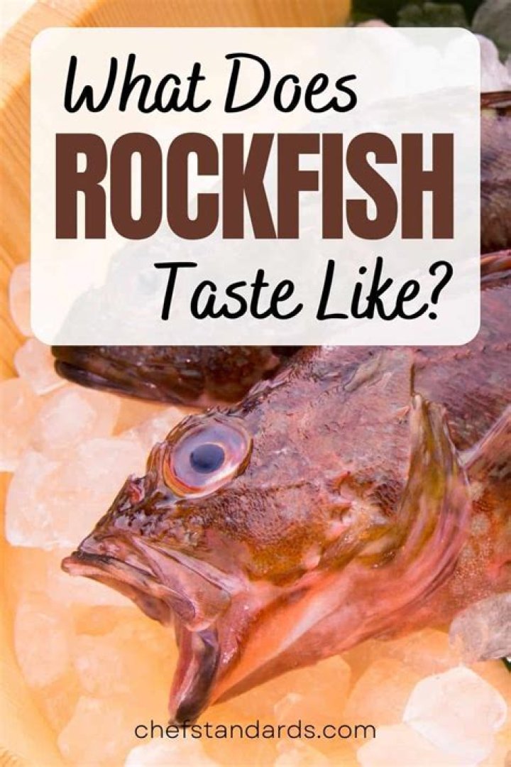 Does rockfish taste fishy?