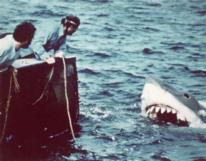 Does spielberg regrets jaws?