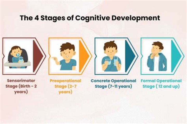 During which stage of cognitive development is conservation achieved?