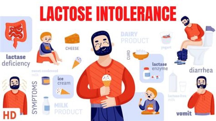 For a lactose intolerant person?