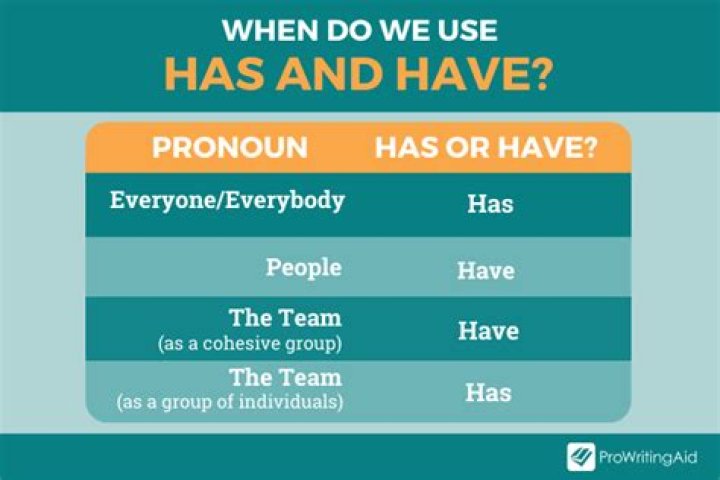 Has or have with everybody?