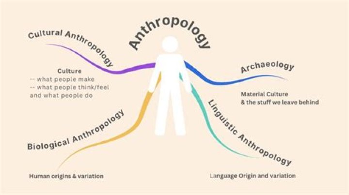 How anthropology is useful?