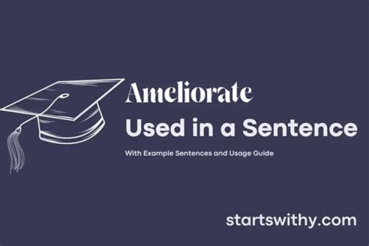 How do you use ameliorate in a sentence?