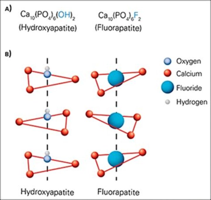 How fluorapatite is made?