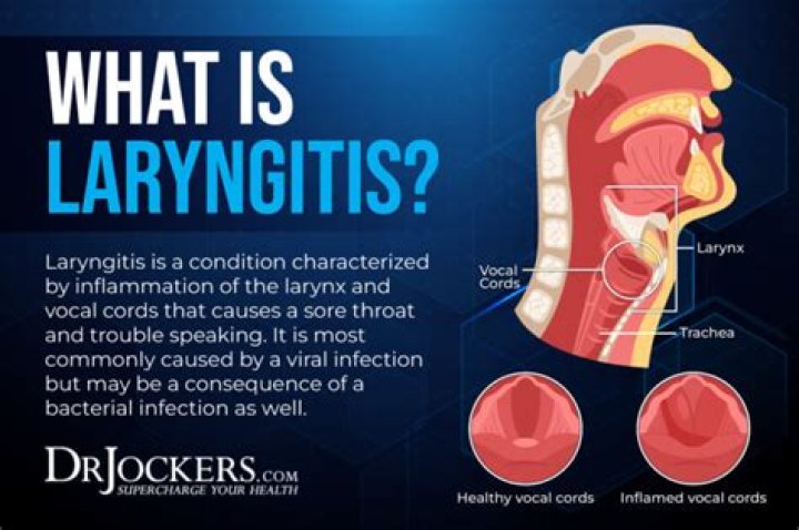 How is laryngitis caused?