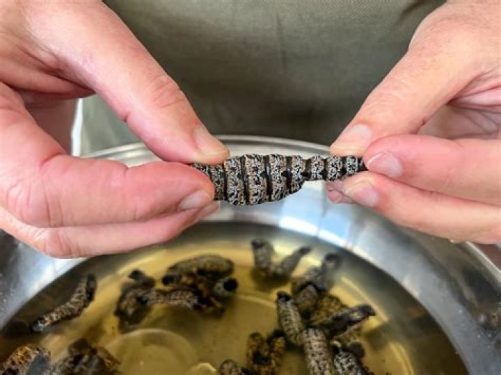 How is mopane worms prepared?