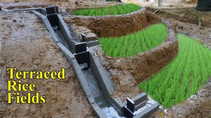 How rice terraces are made?