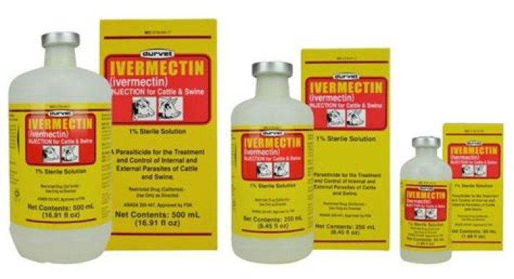 How to prevent meningeal worm?