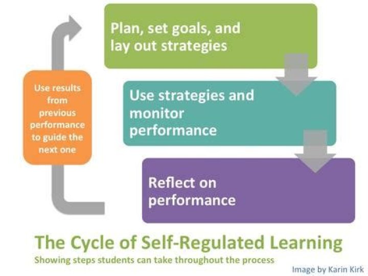 How to promote self-regulated learning?