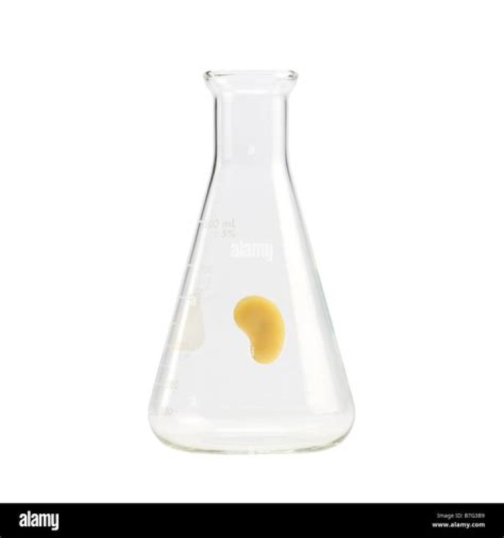 In a erlenmeyer flask?