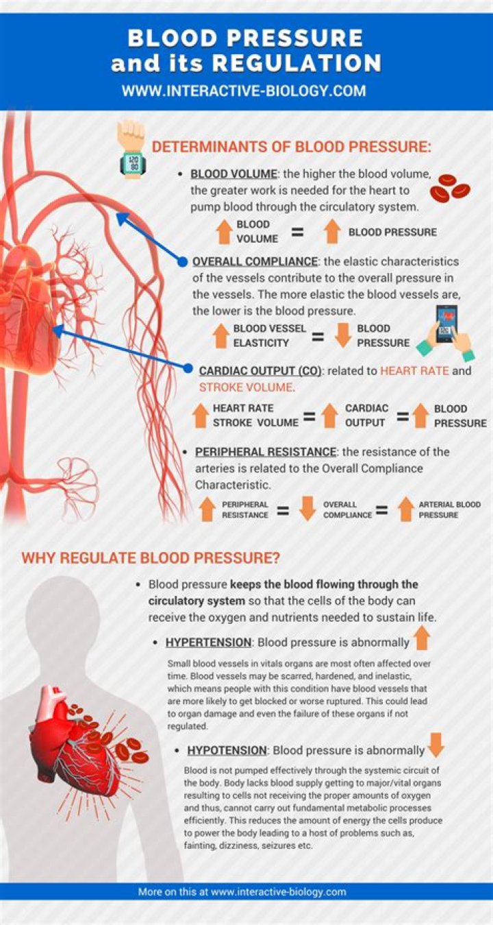 In physiology what is blood pressure?