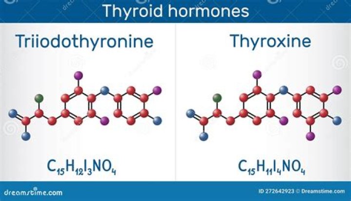 Is cytomel and liothyronine the same?