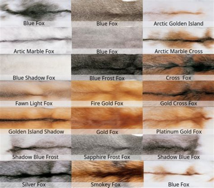Is fox fur legal in uk?