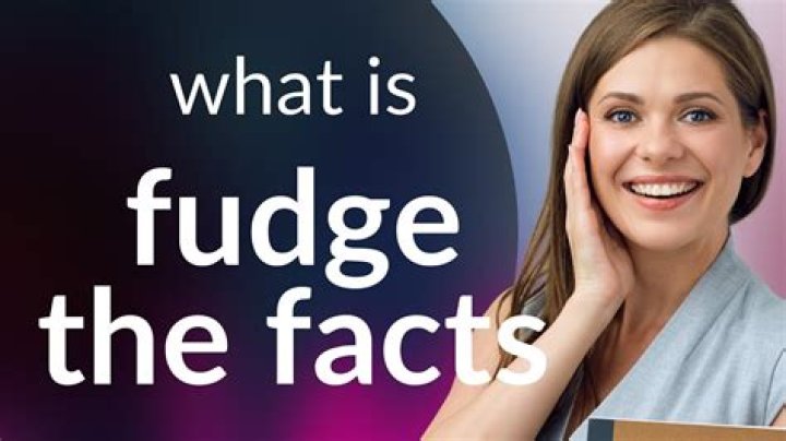 Is fudger a word?