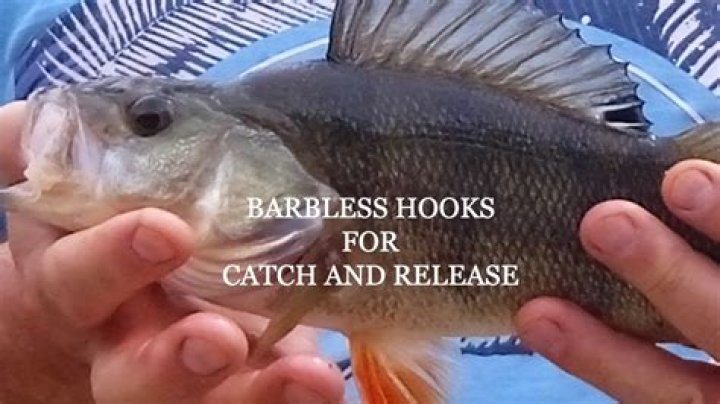 Should i debarb my hooks?