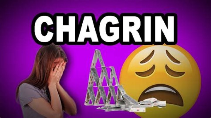 Was does chagrined mean?