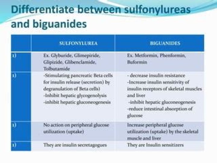 What are sulfonylureas and biguanides?