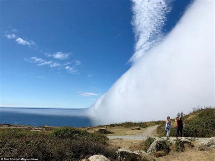 What causes a fog bank?
