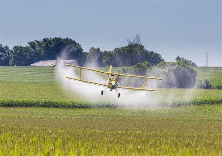What do crop dusters do?