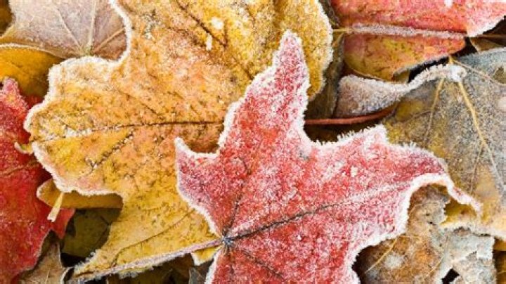 What does frost work mean?