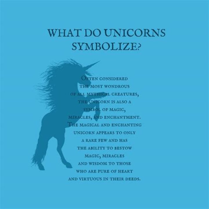 What does it mean looking for a unicorn?
