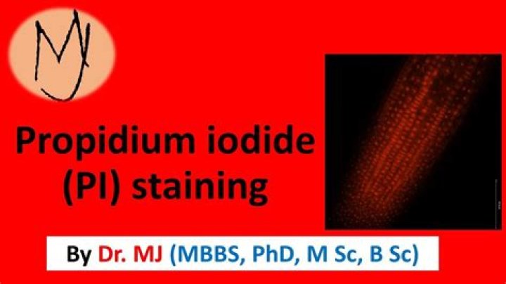 What does propidium mean?