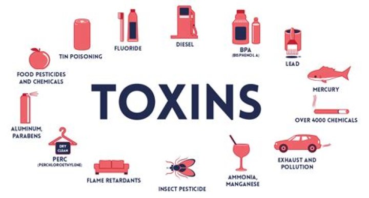 What does toxicity mean?