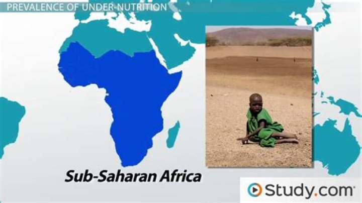 What does undernutrition cause?