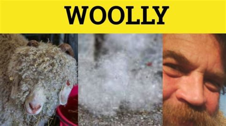 What does woolly headed mean?