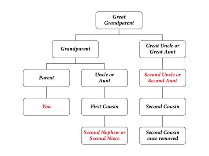 What is a half grand niece?