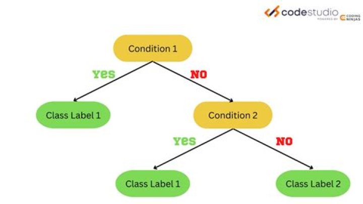 What is classifier in data mining?