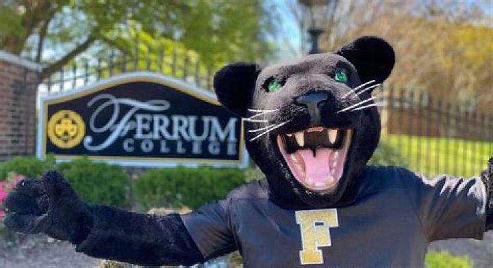 What is ferrum mascot?