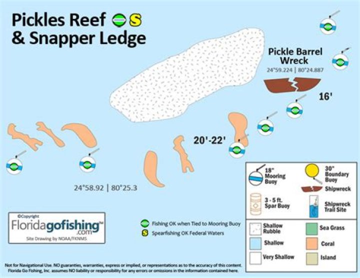 What is snapper ledge reef?