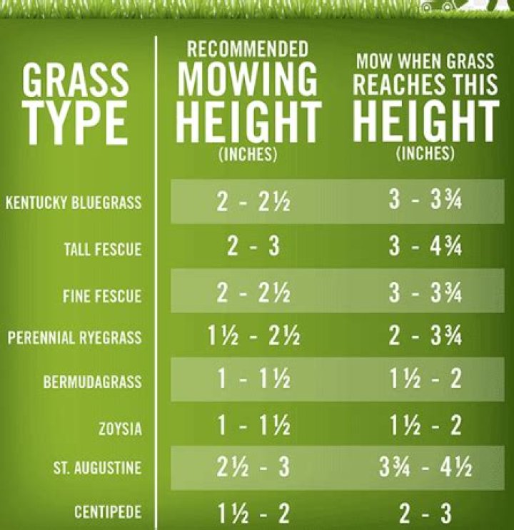What is the best grass cutting height?