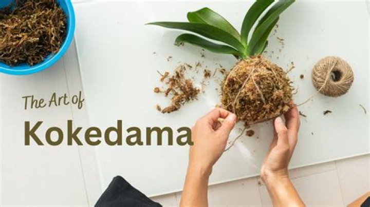 What is the meaning of kokedama?