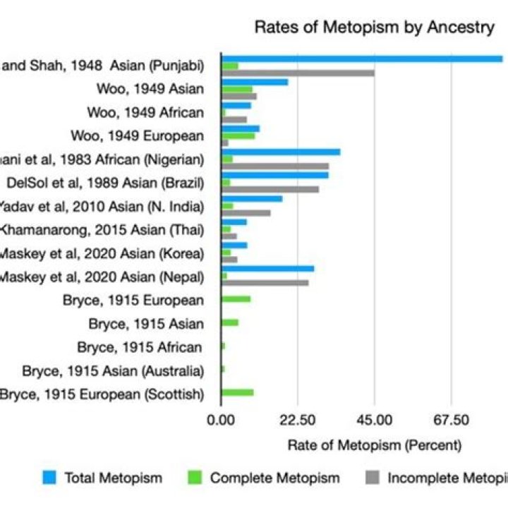 What is the meaning of metopism?