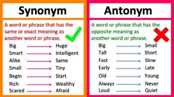 What is the synonym of plausible?