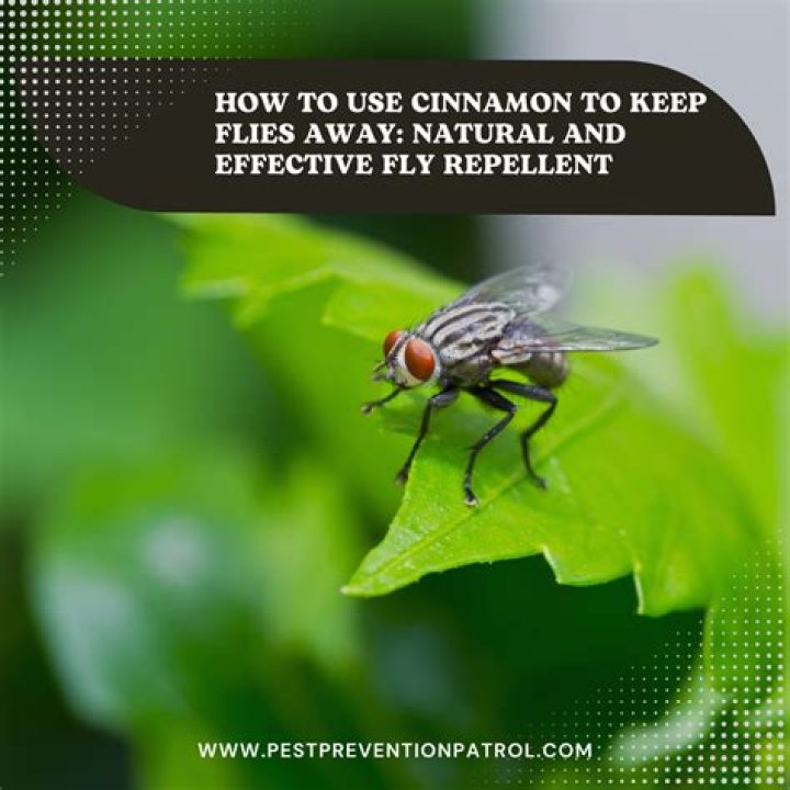 What keep flies away?