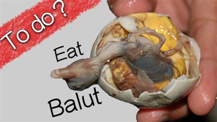 Whats a balut egg?