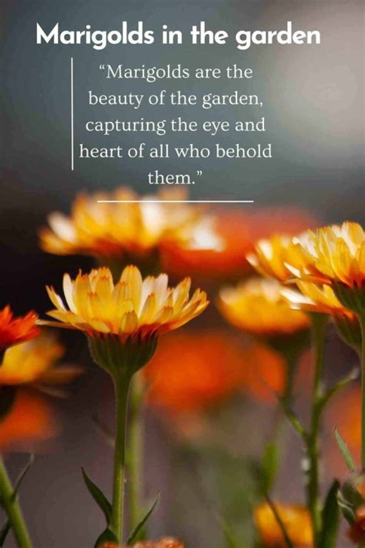 Whats another name for oddball?